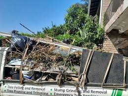 Best Foreclosure Cleanout  in Page, AZ