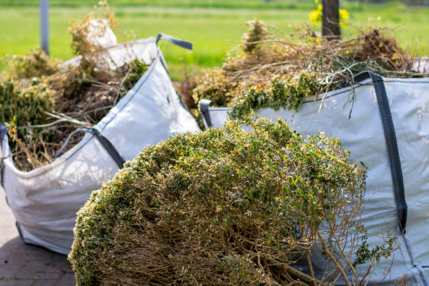 Best Carpet Removal and Disposal  in Page, AZ